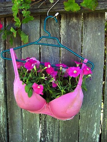 Ý tưởng siêu độc đáo thêm vị cho cuộc sống hằng ngày